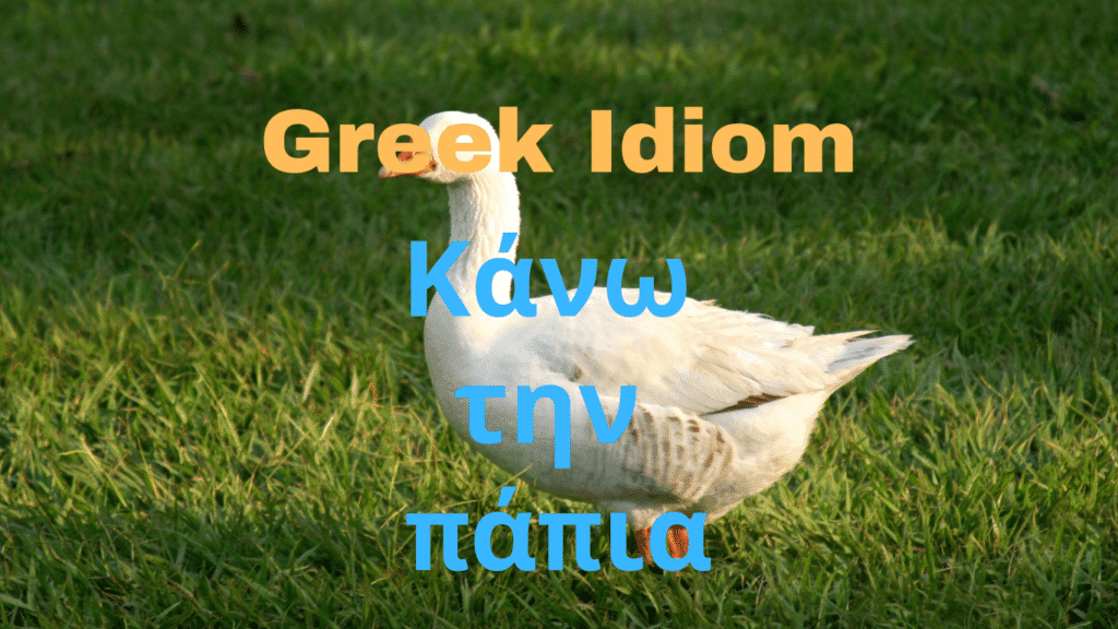 greek idiom kano tin papia