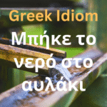 greek idiom mpike to nero sto avlaki