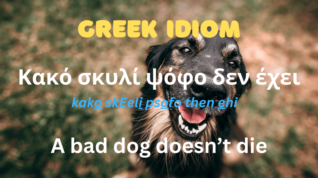 Greek Idiom
Κακο σκυλι ψοφο δεν εχει